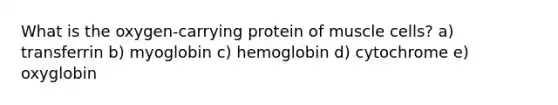 What is the oxygen-carrying protein of muscle cells? a) transferrin b) myoglobin c) hemoglobin d) cytochrome e) oxyglobin