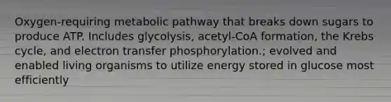 Oxygen-requiring metabolic pathway that breaks down sugars to produce ATP. Includes glycolysis, acetyl-CoA formation, the Krebs cycle, and electron transfer phosphorylation.; evolved and enabled living organisms to utilize energy stored in glucose most efficiently