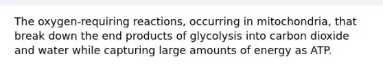 The oxygen-requiring reactions, occurring in mitochondria, that break down the end products of glycolysis into carbon dioxide and water while capturing large amounts of energy as ATP.