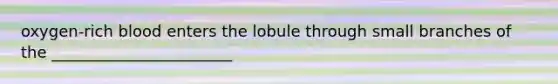 oxygen-rich blood enters the lobule through small branches of the _______________________
