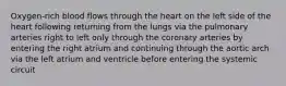 Oxygen-rich blood flows through the heart on the left side of the heart following returning from the lungs via the pulmonary arteries right to left only through the coronary arteries by entering the right atrium and continuing through the aortic arch via the left atrium and ventricle before entering the systemic circuit