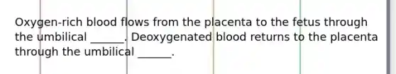 Oxygen-rich blood flows from the placenta to the fetus through the umbilical ______. Deoxygenated blood returns to the placenta through the umbilical ______.