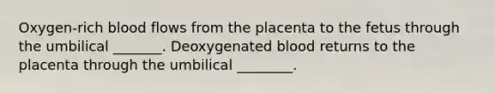 Oxygen-rich blood flows from the placenta to the fetus through the umbilical _______. Deoxygenated blood returns to the placenta through the umbilical ________.