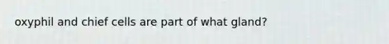 oxyphil and chief cells are part of what gland?