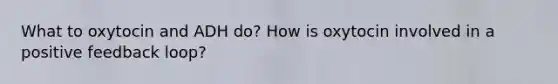 What to oxytocin and ADH do? How is oxytocin involved in a positive feedback loop?