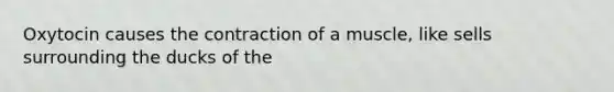 Oxytocin causes the contraction of a muscle, like sells surrounding the ducks of the