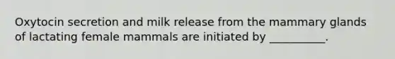 Oxytocin secretion and milk release from the mammary glands of lactating female mammals are initiated by __________.