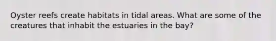 Oyster reefs create habitats in tidal areas. What are some of the creatures that inhabit the estuaries in the bay?