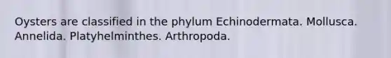 Oysters are classified in the phylum Echinodermata. Mollusca. Annelida. Platyhelminthes. Arthropoda.