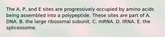 The A, P, and E sites are progressively occupied by <a href='https://www.questionai.com/knowledge/k9gb720LCl-amino-acids' class='anchor-knowledge'>amino acids</a> being assembled into a polypeptide. These sites are part of A. DNA. B. the large ribosomal subunit. C. mRNA. D. tRNA. E. the spliceosome.