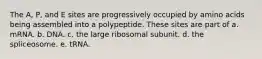 The A, P, and E sites are progressively occupied by amino acids being assembled into a polypeptide. These sites are part of a. mRNA. b. DNA. c. the large ribosomal subunit. d. the spliceosome. e. tRNA.