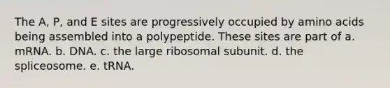 The A, P, and E sites are progressively occupied by amino acids being assembled into a polypeptide. These sites are part of a. mRNA. b. DNA. c. the large ribosomal subunit. d. the spliceosome. e. tRNA.