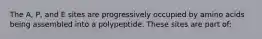 The A, P, and E sites are progressively occupied by amino acids being assembled into a polypeptide. These sites are part of: