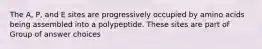 The A, P, and E sites are progressively occupied by amino acids being assembled into a polypeptide. These sites are part of Group of answer choices