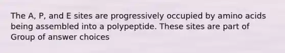 The A, P, and E sites are progressively occupied by <a href='https://www.questionai.com/knowledge/k9gb720LCl-amino-acids' class='anchor-knowledge'>amino acids</a> being assembled into a polypeptide. These sites are part of Group of answer choices