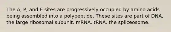 The A, P, and E sites are progressively occupied by amino acids being assembled into a polypeptide. These sites are part of DNA. the large ribosomal subunit. mRNA. tRNA. the spliceosome.