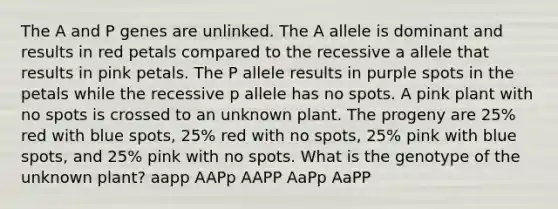 The A and P genes are unlinked. The A allele is dominant and results in red petals compared to the recessive a allele that results in pink petals. The P allele results in purple spots in the petals while the recessive p allele has no spots. A pink plant with no spots is crossed to an unknown plant. The progeny are 25% red with blue spots, 25% red with no spots, 25% pink with blue spots, and 25% pink with no spots. What is the genotype of the unknown plant? aapp AAPp AAPP AaPp AaPP