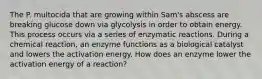 The P. multocida that are growing within Sam's abscess are breaking glucose down via glycolysis in order to obtain energy. This process occurs via a series of enzymatic reactions. During a chemical reaction, an enzyme functions as a biological catalyst and lowers the activation energy. How does an enzyme lower the activation energy of a reaction?