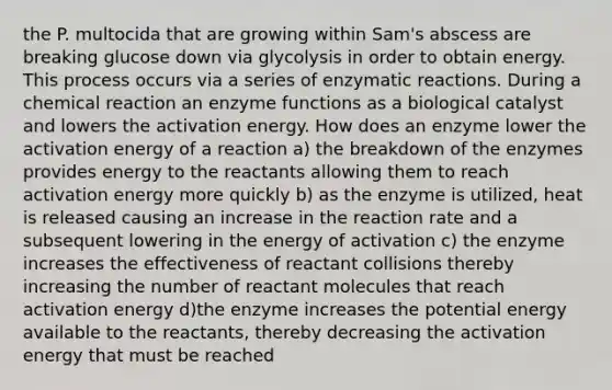 the P. multocida that are growing within Sam's abscess are breaking glucose down via glycolysis in order to obtain energy. This process occurs via a series of enzymatic reactions. During a chemical reaction an enzyme functions as a biological catalyst and lowers the activation energy. How does an enzyme lower the activation energy of a reaction a) the breakdown of the enzymes provides energy to the reactants allowing them to reach activation energy more quickly b) as the enzyme is utilized, heat is released causing an increase in the reaction rate and a subsequent lowering in the energy of activation c) the enzyme increases the effectiveness of reactant collisions thereby increasing the number of reactant molecules that reach activation energy d)the enzyme increases the potential energy available to the reactants, thereby decreasing the activation energy that must be reached