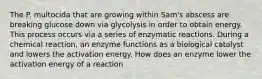 The P. multocida that are growing within Sam's abscess are breaking glucose down via glycolysis in order to obtain energy. This process occurs via a series of enzymatic reactions. During a chemical reaction, an enzyme functions as a biological catalyst and lowers the activation energy. How does an enzyme lower the activation energy of a reaction