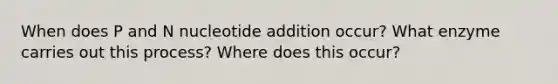 When does P and N nucleotide addition occur? What enzyme carries out this process? Where does this occur?