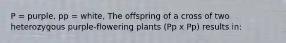 P = purple, pp = white, The offspring of a cross of two heterozygous purple-flowering plants (Pp x Pp) results in: