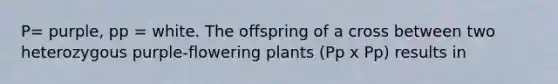 P= purple, pp = white. The offspring of a cross between two heterozygous purple-flowering plants (Pp x Pp) results in