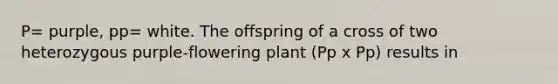 P= purple, pp= white. The offspring of a cross of two heterozygous purple-flowering plant (Pp x Pp) results in