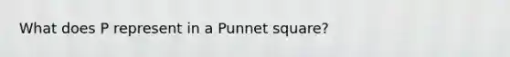 What does P represent in a Punnet square?