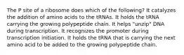 The P site of a ribosome does which of the following? It catalyzes the addition of amino acids to the tRNAs. It holds the tRNA carrying the growing polypeptide chain. It helps "unzip" DNA during transcription. It recognizes the promoter during transcription initiation. It holds the tRNA that is carrying the next amino acid to be added to the growing polypeptide chain.