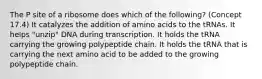 The P site of a ribosome does which of the following? (Concept 17.4) It catalyzes the addition of amino acids to the tRNAs. It helps "unzip" DNA during transcription. It holds the tRNA carrying the growing polypeptide chain. It holds the tRNA that is carrying the next amino acid to be added to the growing polypeptide chain.