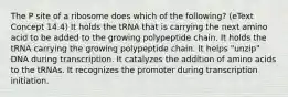 The P site of a ribosome does which of the following? (eText Concept 14.4) It holds the tRNA that is carrying the next amino acid to be added to the growing polypeptide chain. It holds the tRNA carrying the growing polypeptide chain. It helps "unzip" DNA during transcription. It catalyzes the addition of amino acids to the tRNAs. It recognizes the promoter during transcription initiation.