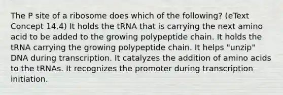 The P site of a ribosome does which of the following? (eText Concept 14.4) It holds the tRNA that is carrying the next amino acid to be added to the growing polypeptide chain. It holds the tRNA carrying the growing polypeptide chain. It helps "unzip" DNA during transcription. It catalyzes the addition of amino acids to the tRNAs. It recognizes the promoter during transcription initiation.