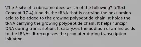 The P site of a ribosome does which of the following? (eText Concept 17.4) It holds the tRNA that is carrying the next amino acid to be added to the growing polypeptide chain. It holds the tRNA carrying the growing polypeptide chain. It helps "unzip" DNA during transcription. It catalyzes the addition of amino acids to the tRNAs. It recognizes the promoter during transcription initiation.