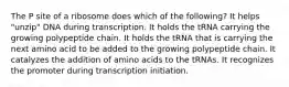 The P site of a ribosome does which of the following? It helps "unzip" DNA during transcription. It holds the tRNA carrying the growing polypeptide chain. It holds the tRNA that is carrying the next amino acid to be added to the growing polypeptide chain. It catalyzes the addition of amino acids to the tRNAs. It recognizes the promoter during transcription initiation.