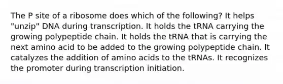 The P site of a ribosome does which of the following? It helps "unzip" DNA during transcription. It holds the tRNA carrying the growing polypeptide chain. It holds the tRNA that is carrying the next amino acid to be added to the growing polypeptide chain. It catalyzes the addition of <a href='https://www.questionai.com/knowledge/k9gb720LCl-amino-acids' class='anchor-knowledge'>amino acids</a> to the tRNAs. It recognizes the promoter during transcription initiation.