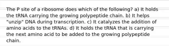 The P site of a ribosome does which of the following? a) It holds the tRNA carrying the growing polypeptide chain. b) It helps "unzip" DNA during transcription. c) It catalyzes the addition of <a href='https://www.questionai.com/knowledge/k9gb720LCl-amino-acids' class='anchor-knowledge'>amino acids</a> to the tRNAs. d) It holds the tRNA that is carrying the next amino acid to be added to the growing polypeptide chain.