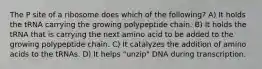 The P site of a ribosome does which of the following? A) It holds the tRNA carrying the growing polypeptide chain. B) It holds the tRNA that is carrying the next amino acid to be added to the growing polypeptide chain. C) It catalyzes the addition of amino acids to the tRNAs. D) It helps "unzip" DNA during transcription.