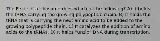 The P site of a ribosome does which of the following? A) It holds the tRNA carrying the growing polypeptide chain. B) It holds the tRNA that is carrying the next amino acid to be added to the growing polypeptide chain. C) It catalyzes the addition of <a href='https://www.questionai.com/knowledge/k9gb720LCl-amino-acids' class='anchor-knowledge'>amino acids</a> to the tRNAs. D) It helps "unzip" DNA during transcription.