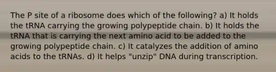 The P site of a ribosome does which of the following? a) It holds the tRNA carrying the growing polypeptide chain. b) It holds the tRNA that is carrying the next amino acid to be added to the growing polypeptide chain. c) It catalyzes the addition of amino acids to the tRNAs. d) It helps "unzip" DNA during transcription.