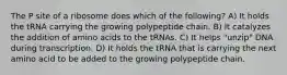 The P site of a ribosome does which of the following? A) It holds the tRNA carrying the growing polypeptide chain. B) It catalyzes the addition of amino acids to the tRNAs. C) It helps "unzip" DNA during transcription. D) It holds the tRNA that is carrying the next amino acid to be added to the growing polypeptide chain.