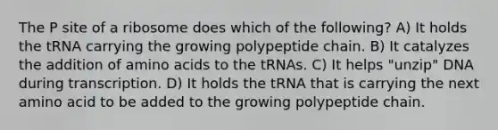 The P site of a ribosome does which of the following? A) It holds the tRNA carrying the growing polypeptide chain. B) It catalyzes the addition of amino acids to the tRNAs. C) It helps "unzip" DNA during transcription. D) It holds the tRNA that is carrying the next amino acid to be added to the growing polypeptide chain.