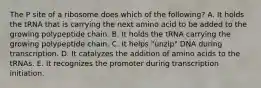 The P site of a ribosome does which of the following? A. It holds the tRNA that is carrying the next amino acid to be added to the growing polypeptide chain. B. It holds the tRNA carrying the growing polypeptide chain. C. It helps "unzip" DNA during transcription. D. It catalyzes the addition of amino acids to the tRNAs. E. It recognizes the promoter during transcription initiation.