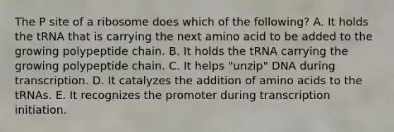 The P site of a ribosome does which of the following? A. It holds the tRNA that is carrying the next amino acid to be added to the growing polypeptide chain. B. It holds the tRNA carrying the growing polypeptide chain. C. It helps "unzip" DNA during transcription. D. It catalyzes the addition of amino acids to the tRNAs. E. It recognizes the promoter during transcription initiation.