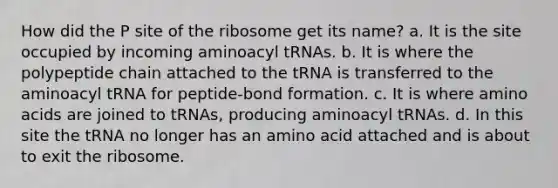 How did the P site of the ribosome get its name? a. It is the site occupied by incoming aminoacyl tRNAs. b. It is where the polypeptide chain attached to the tRNA is transferred to the aminoacyl tRNA for peptide-bond formation. c. It is where amino acids are joined to tRNAs, producing aminoacyl tRNAs. d. In this site the tRNA no longer has an amino acid attached and is about to exit the ribosome.