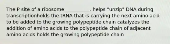 The P site of a ribosome __________. helps "unzip" DNA during transcriptionholds the tRNA that is carrying the next amino acid to be added to the growing polypeptide chain catalyzes the addition of amino acids to the polypeptide chain of adjacent amino acids holds the growing polypeptide chain