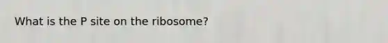 What is the P site on the ribosome?