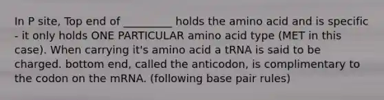 In P site, Top end of _________ holds the amino acid and is specific - it only holds ONE PARTICULAR amino acid type (MET in this case). When carrying it's amino acid a tRNA is said to be charged. bottom end, called the anticodon, is complimentary to the codon on the mRNA. (following base pair rules)