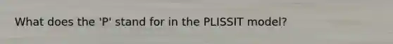 What does the 'P' stand for in the PLISSIT model?