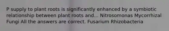 P supply to plant roots is significantly enhanced by a symbiotic relationship between plant roots and... Nitrosomonas Mycorrhizal Fungi All the answers are correct. Fusarium Rhizobacteria